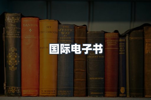 国际电子书